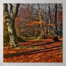 Autumn in the Woods (1) Posters