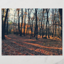 Autumn in the woods personalised flyer
