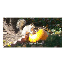 Autumn is here! photo greeting card
