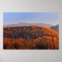 Autumn landscape print