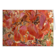 Autumn Leaves Card