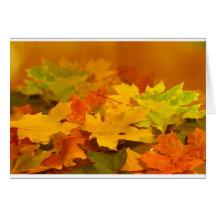 Autumn Leaves Cards