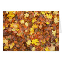 Autumn Leaves Greeting Card