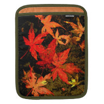 autumn leaves ipad sleeves