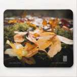 Autumn Leaves, Wicklow Mouse Pads