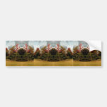 Autumn Mirror Bumper Sticker