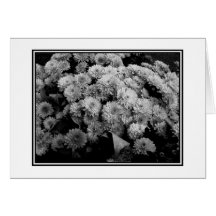 'Autumn Mums' Blank Greeting Card