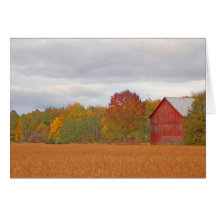 Autumn on the farm greeting cards
