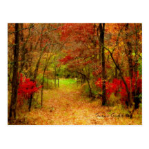 Autumn Path in Forest Thanksgiving Postcard