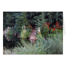 Autumn Pine Greeting Cards