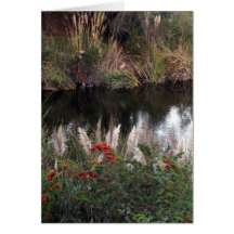 Autumn Pond Cards