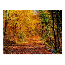 Autumn Postcard