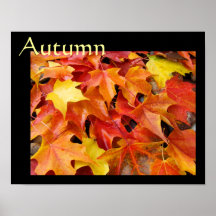 Autumn poster art prints Fall Art Colourful Leaves