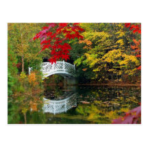 Autumn Reflections Postcard