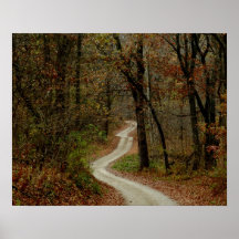 Autumn Road 1 Print