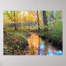 Autumn Stream Print