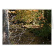 Autumn Sun Card