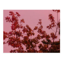 Autumn Sunrise Post Cards