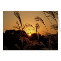 Autumn Sunset Card