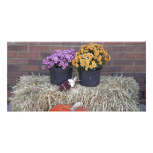 Autumn Thanksgiving Harvest Fall Scene Photo Greeting Card