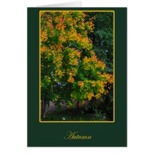 Autumn Tree Greeting Card