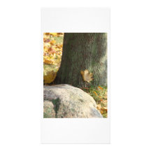 Autumn tree & rock customized photo card