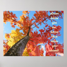 Autumn Trees Colours art Prints Leave where You ar