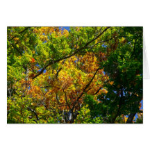 Autumn trees greeting cards