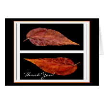Autumn Wedding Thank You Cards