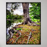 Autumnal Audubon Print