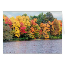 AUTUMNS BRILLIANT COLORS CARDS