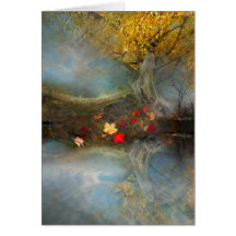 Autumns harvest , card