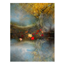Autumns harvest ,postcard