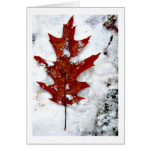 Autumn's Lament Note Card