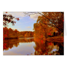 AUTUMNS ORANGE GLOW GREETING CARDS