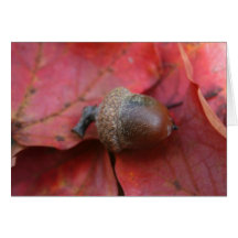 AUTUMNS PROMISE GREETING CARD