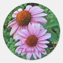 AW- Pink Daisy Thank You Stickers