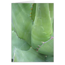 Awesome Agave (1) Greeting Cards