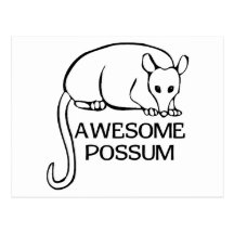 Awesome Possum Postcards