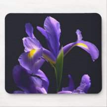 Awsome, purple Iris Mouse Pads