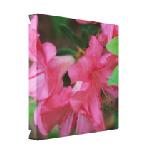 Azalea  Canvas Print