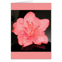 Azalea Flower Greeting Card