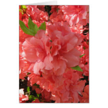 Azalea Notecard