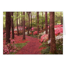 azaleas greeting cards