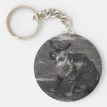 B&W Kitten Keychain