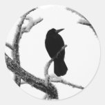 B&W Winter Raven Edgar Allan Poe Stickers