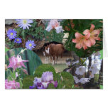 BA- Horse and Floral Collage Greeting Cards