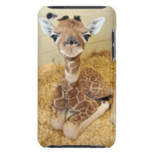 Baba Barely There iPod Covers