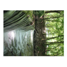 Babbling Brook Post Card