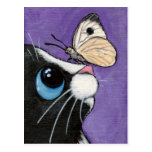 Baby and the Large White - Cat Postcard